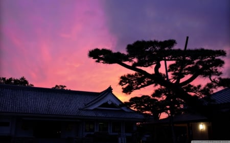 Twilight in Japan - house, japan, tree, twilight