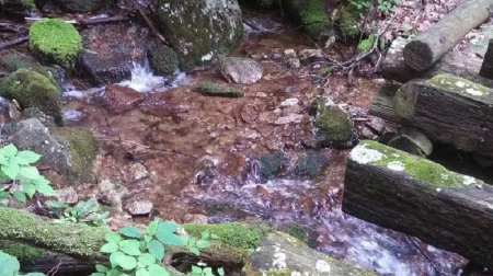 Yankee Horse Ridge - river, stream, Blue Ridge, nature