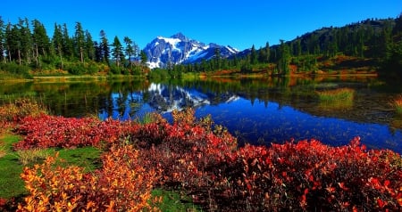 View of a snowy mountain - nice, sky, trees, water, clear, crystal, mountainscape, view, grass, snowy, lake, mountain, summer, shore, peaks, lovely, nature, beautiful, flowers