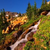 Mountain stream