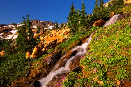 Mountain stream - hills, summer, creek, stream, mountain, flowers, nice, sky, mountainscape, flow, beautiful, slope, lovely, valley, river, nature, waterfall, rocks