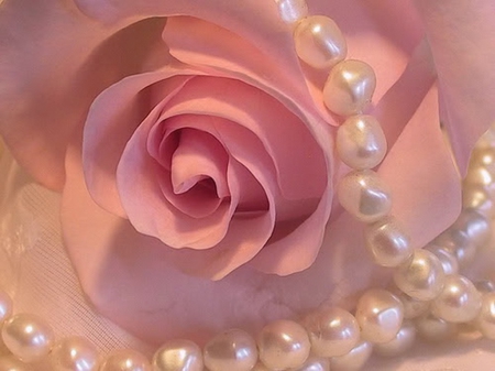 PINK ROSE AND PEARLS