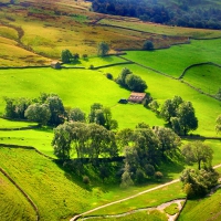 Green Acres - a Farm House