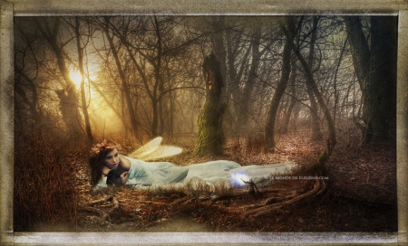 Daylight dreams - summer, angel, forest, harmony, elf, fantasy, sunset, autumn, fairy, serenity, abstarct, art, wallpaper