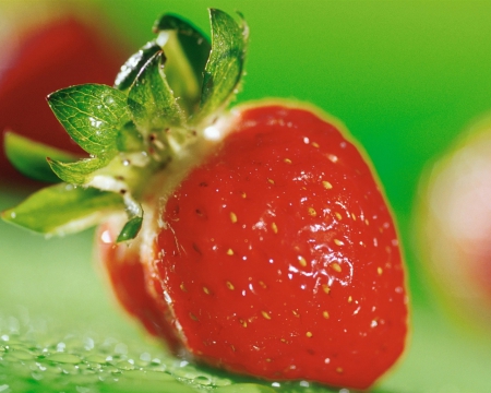 RED STRAWBERRY IN YOUR EYE - close up, decilous, strawberry, photos, fruit, macro, strawberries, sweet, food