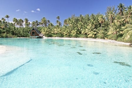 Perfect Clear Aqua Blue Lagoon at Thalasso Spa on the island Bora Bora Polynesia - aqua, paradise, clear, escape, perfect, polynesia, french, bora bora, chapel, thalasso, lagoon, holiday, y, south, resort, zen, ocean, islands, yoga, tropical, exotic, alone, church, blue, tranquil, beautiful, society, island, spa, sea, retreat, tahiti