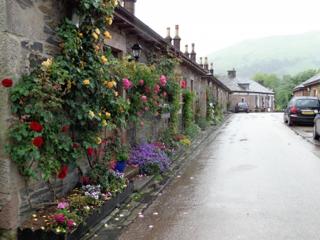 Luss, Scotland - scotland, loch lomond, houses, luss