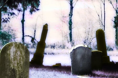 Creepy Old Cemetery - halloween, holidays, cemetery, creepy