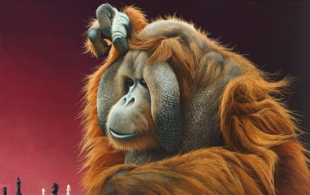 ORANGATANG - LARGE, PRIMATE, FOREST, JUNGLE