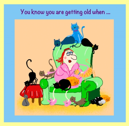 FUNNY OLD LADY - FUNNY, CAT, OLD, LADY