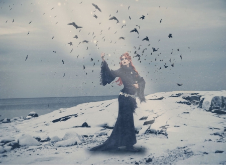 Dark Princess - birds, winter, lady, snow, dark