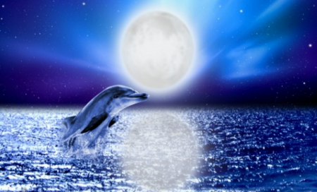 Magic Full Moon Night - ocean, beautiful, full moon, night, cute, dolphin