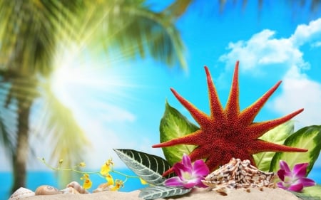 Sea treasure - summer, flower, palm, beautiful, beach, leaves, ocean, light, nature, exotic, shine, glow, palm tree, pretty, water, rays, branches, sun, blue, sky, sand, treasure, sunlight, nice, lovely, star, sea, shells, dazzling