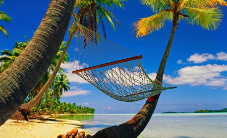 Tropical rest - nice, sky, beach, tropics, lazy, hot, hammock, water, vacation, pretty, clouds, holiday, sand, relax, sands, palm trees, ocean, travel, day, palms, summer, tropical, lovely, exotic, nature, relaxing, beautiful, rest, island, sea