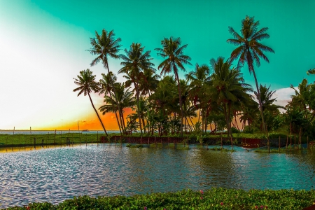 Kumarakom Lake - landscape, trees, palms, water