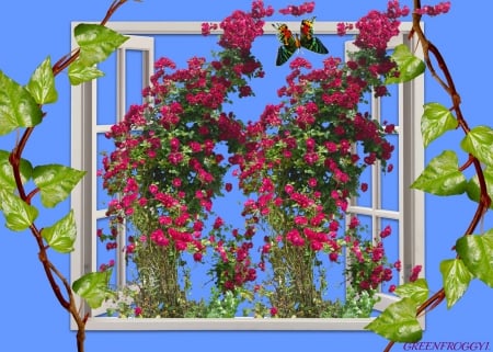 THE WINDOW - ivy, window, roses, art