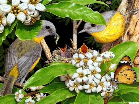 LOVING BIRDS - parents, young, yellow, nesting, birds