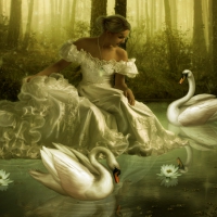 Swan Princess