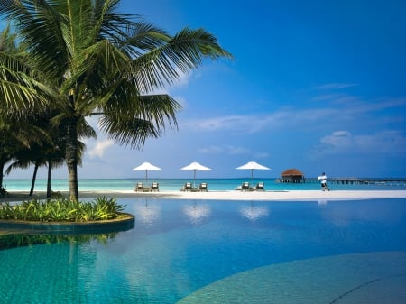 Maldives - palms, water, summer, beach, sea