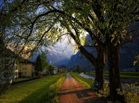 PEACEFUL ROAD IN THE ALPS - photos, quiet, trees, alps, europe, dirt road, road, landscape, travel, forest, street, mountains, peaceful