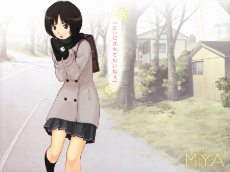 amagami ss - to school, nice, cutie, becgraund