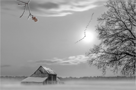 Eternity - eternity, sky, sun, winter, house, birds