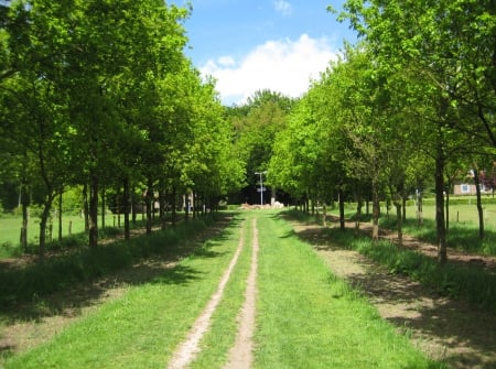 Path in the green - nature, fields, photography, green, path