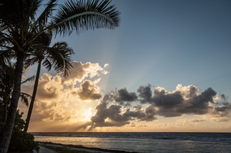 Evening dusk sunset Twilight over Bora Bora Island - beach, trees, pacific, sun, sunset, polynesia, french, calm, evening, bora bora, clouds, atoll, south, sand, dusk, relax, ocean, serene, islands, set, palm, society, twilight, island, sea, tahiti