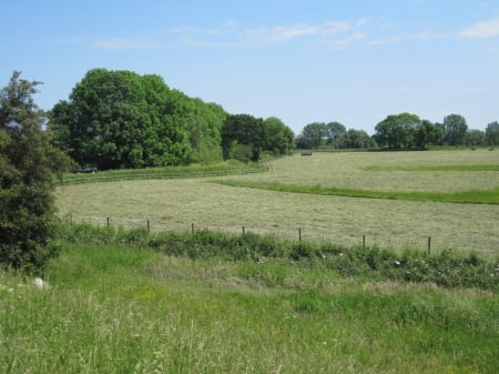 Summer - fields, sky, trees, summerblue, photography, summer, field, nature, view, green, tree, grass