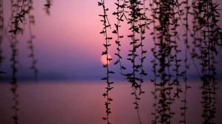 west lake sunset - sky, lake, fun, sunset, nature, sun