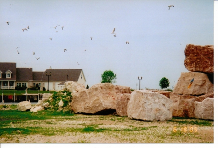 By The Lakeshore - scenic, landscapes, nature, rocks