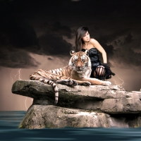 Beauty and the Tiger
