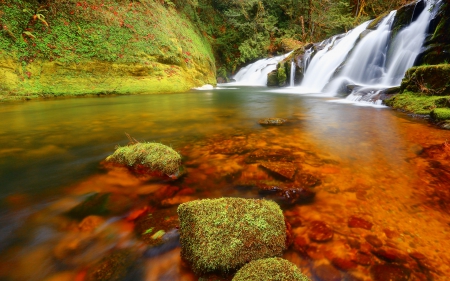 Forest fall - falling, summer, forest, rocks, beautiful, quiet, nature, cascades, stream, flow, fall, pretty, water, waterfall, stones, shore, calmness, reflection, nice, lovely