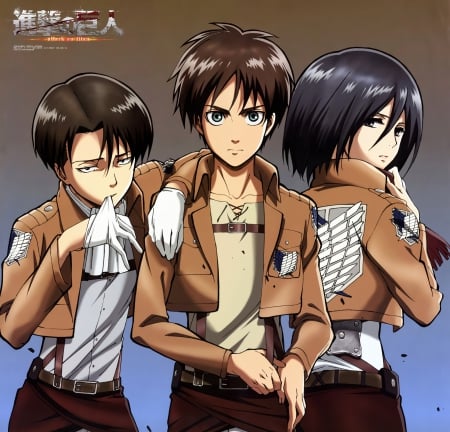 Shingeki no Kyojin - anime, female, warrior, team, guy, mad, boy, armor, male, short hair, group, eren jaeger, weapon, mikasa, attack on titan, anime girl, hot, girl, sword, brown hair, levi, blade, handsome, Mikasa Ackerman, cute, sexy, eren, Shingeki no Kyojin