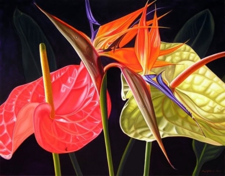 Anthurium and Strelitzia - anturium, flowers, yellow, red