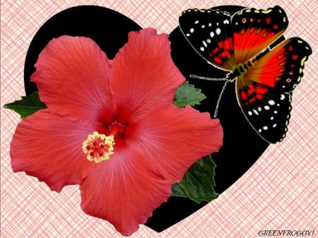 HIBISCUS AND BUTTERFLY