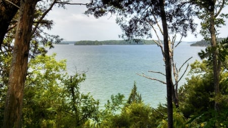 Percy Priest Lake - water, summer, lake, scenic