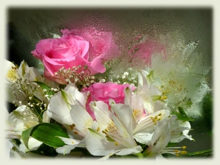 Pink Roses and Lilies