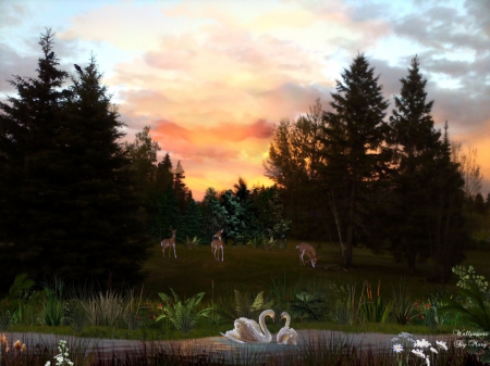 On The Pond 2048x1536 - nature, fawns, swans, animals, ponds, sunsets, water, deer