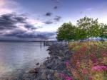 wonderful rocky shore with flowers hdr