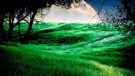 Moon Field - field, fields, nature, pretty