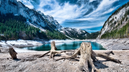 stark mountain lake landscape - dead trees, shore, snow, lake, forest, mountains