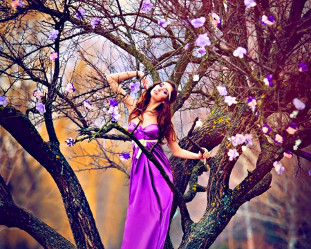 Fashion model - purple, model, flowers, tree, woman