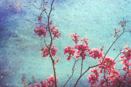 Spring - flowers, spring, texture, pink, tree, sky