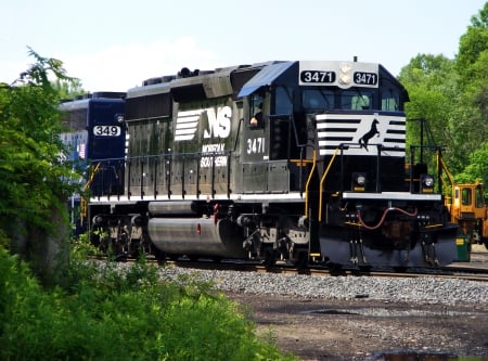 Norfolk and Southern - white, train, railroad, norfolk and southern, freight, rail yard, black