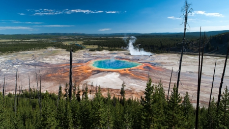 hot springs - fun, nature, hot springs, field, forest