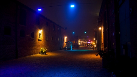 back alley in colored lights - cobblstones, alley, night, colors, lights