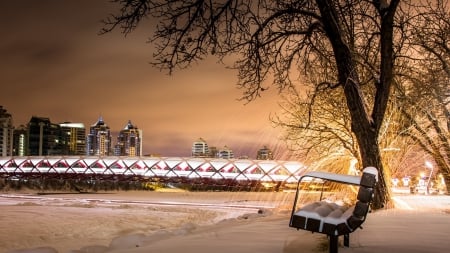 view of a lovely bridge in calgary in winter - winter, lights, bench, city, night, bridge