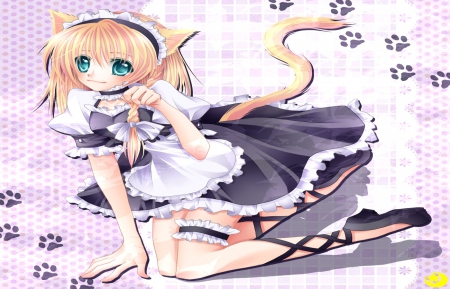 Midzuki - anime, neko, beautiful, dress, girl, beauty, maid, sweet, cat, black, white, cute