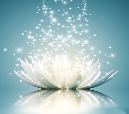 White loto - white, flower, water, spark, nature, glitter, blue